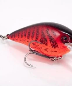 STRIKE KING LURE COMPANY Baits Strike King KVD 1.5 Square Bill Crankbait