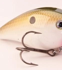 STRIKE KING LURE COMPANY Baits Strike King KVD 1.5 Square Bill Crankbait