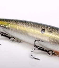 Strike King Lure Company Strike King Sexy Dawg