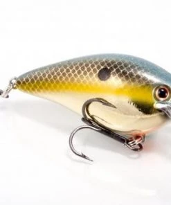 STRIKE KING LURE COMPANY Baits Strike King KVD 1.5 Square Bill Crankbait