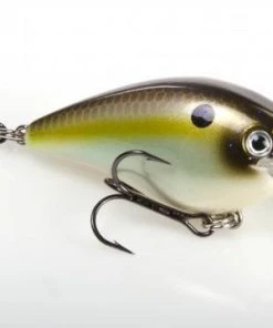 STRIKE KING LURE COMPANY Baits Strike King KVD 1.5 Square Bill Crankbait