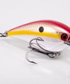 STRIKE KING LURE COMPANY Baits Strike King KVD 1.5 Square Bill Crankbait