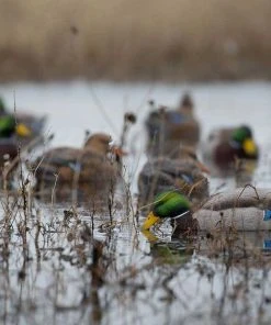 Bmtoutdoors Avery GHG Pro-Grade XD Series Mallards, Feeder 6 Pack