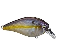 Pitman Creek Wholesale 6th Sense Crush 50X Squarebill