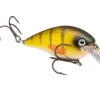 STRIKE KING LURE COMPANY Baits Strike King 2.5" KVD Square Bill Crankbait