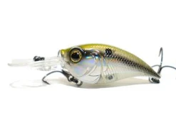Bmtoutdoors Medium Diving Crankbaits 6TH SENSE CURVE 55 Crankbait