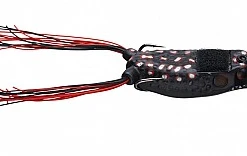 Bmtoutdoors Stanford Baits Boom Boom Hollow Body Poppin' Frog