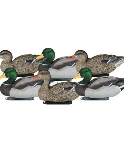 Bmtoutdoors Dakota Packable Mallards Decoys Duck