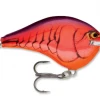 Bmtoutdoors RAPALA DT 10 CRANKBAIT Medium Diving Crankbaits