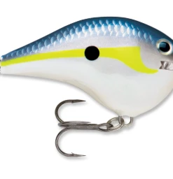Bmtoutdoors Shallow Diving Crankbaits Rapala DT 6 Crankbait