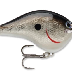 Bmtoutdoors Shallow Diving Crankbaits Rapala DT 6 Crankbait