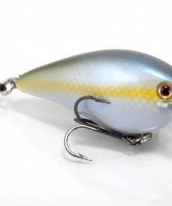 STRIKE KING LURE COMPANY Baits Strike King KVD 1.5 Square Bill Crankbait