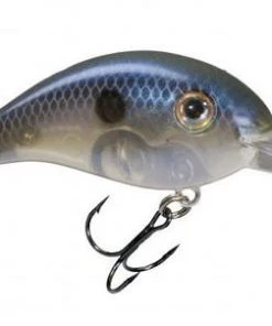 STRIKE KING LURE COMPANY Medium Diving Crankbaits Strike King 3XD Crankbait