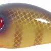 STRIKE KING LURE COMPANY Baits Strike King Pro Model Series 5 CrankBait