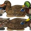 BANDED HOLDINGS Pro-Grade Mallard XD Harvester 6 Pack Duck