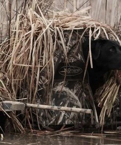 Stands MOMARSH INVISILAB